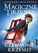 Magiczne D... - Andrzej Maleszka -  books in polish 