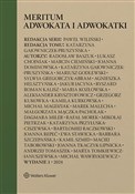Meritum ad... - Marcin Ciemiński, Katarzyna Gajowniczek-Pruszyńska, Mariusz Godlewski, Agnieszka Helsztyńska, Aleksa -  foreign books in polish 