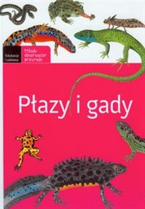 Obrazek Płazy i gady