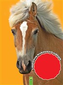 Malowanka.... - Opracowanie Zbiorowe - Ksiegarnia w UK