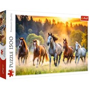 Polska książka : Puzzle Dzi...