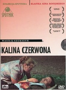 Obrazek Kalina czerwona