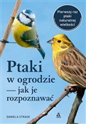 Zobacz : Ptaki w og... - Daniela Strauß
