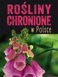 Picture of Rośliny chronione w Polsce