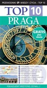 polish book : Top 10 Pra... - Theodore Schwinke