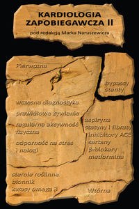 Obrazek Kardiologia zapobiegawcza