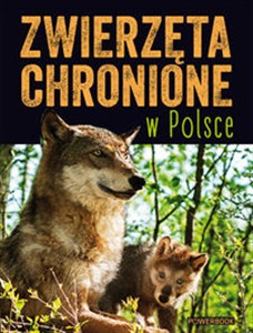 Picture of Zwierzęta chronione w Polsce