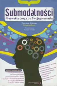 Obrazek Submodalności Niezwykła droga do Twojego umysłu