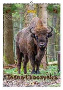 Picture of Kalendarz 2026 ścienny A2 Leśne Uroczyska