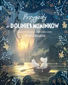 polish book : Przygody w... - Amanda Li