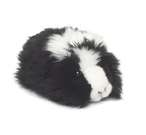 Picture of Świnka morska 19 cm mix kolorów