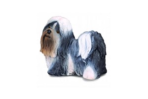 Obrazek Pies rasy Shih Tzu