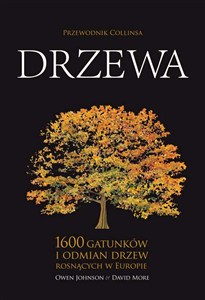 Obrazek Drzewa Przewodnik Collinsa