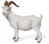 Koza -  books in polish 