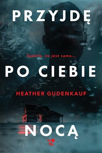 Obrazek Przyjdę po ciebie nocą