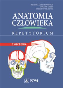 Obrazek Anatomia człowieka Repetytorium Ćwiczenia