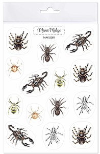 Obrazek Naklejki Pajęczaki