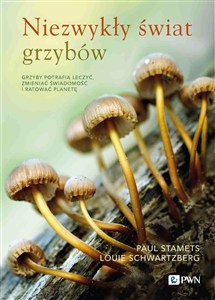Obrazek Niezwykły świat grzybów
