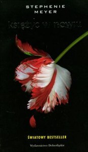 Picture of Księżyc w nowiu