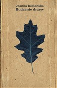 polish book : Budzenie d... - Joanna Domańska
