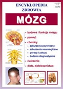Mózg Encyk... -  Książka z wysyłką do UK