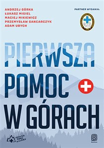 Obrazek Pierwsza pomoc w górach