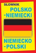 Słownik po... -  books in polish 