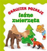 Okruszek p... - Anna Wiśniewska, Elżbieta Śmietanka-Combik (ilustr.), Jolanta Czarnecka (ilustr.) - Ksiegarnia w UK