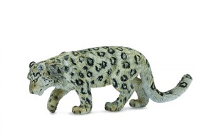 Obrazek Leopard śnieżny