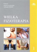 Książka : Wielka fiz...
