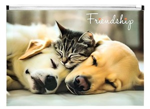 Obrazek Koperta A4 PP z nadrukiem zip Friendship
