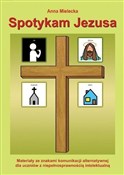 Polska książka : Spotykam J... - Anna Mielecka