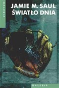 Polska książka : Światło dn... - Jamie M. Saul