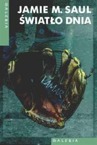 Picture of Światło dnia