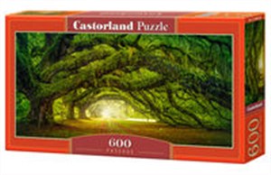 Picture of Puzzle Passage 600 B-060030