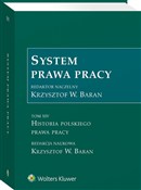 Zobacz : System pra... - Opracowanie Zbiorowe