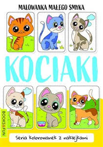 Obrazek Malowanka małego smyka Kociaki