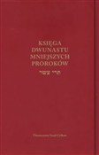 Zobacz : Księga Dwu... - Izaak Cylkow