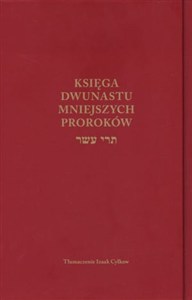 Obrazek Księga Dwunastu mniejszych proroków