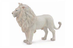 Picture of Biały lew