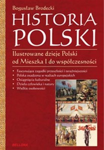 Obrazek Historia Polski Ilustrowane dzieje Polski od Mieszka I do współczesności