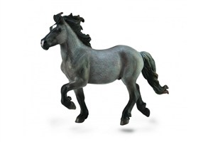 Obrazek Ogier islandzki