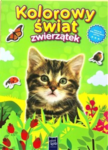 Obrazek Kolorowy świat zwierzątek. Kotek