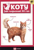 Koty. Jak ... - Opracowanie Zbiorowe - Ksiegarnia w UK