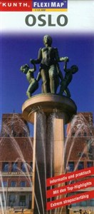 Obrazek Fleximap Oslo 1:12 500