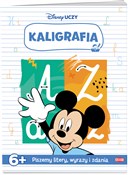 Disney Ucz... -  books in polish 