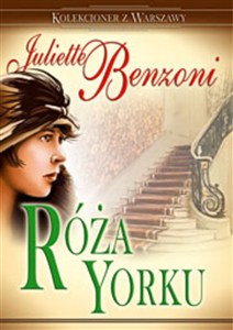 Picture of Róża Yorku Kolekcjoner z Warszawy