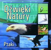 Dźwięki na... -  Polish Bookstore 