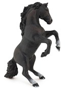 polish book : Ogier stoj...