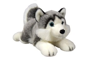 Picture of Husky leżący 34cm
